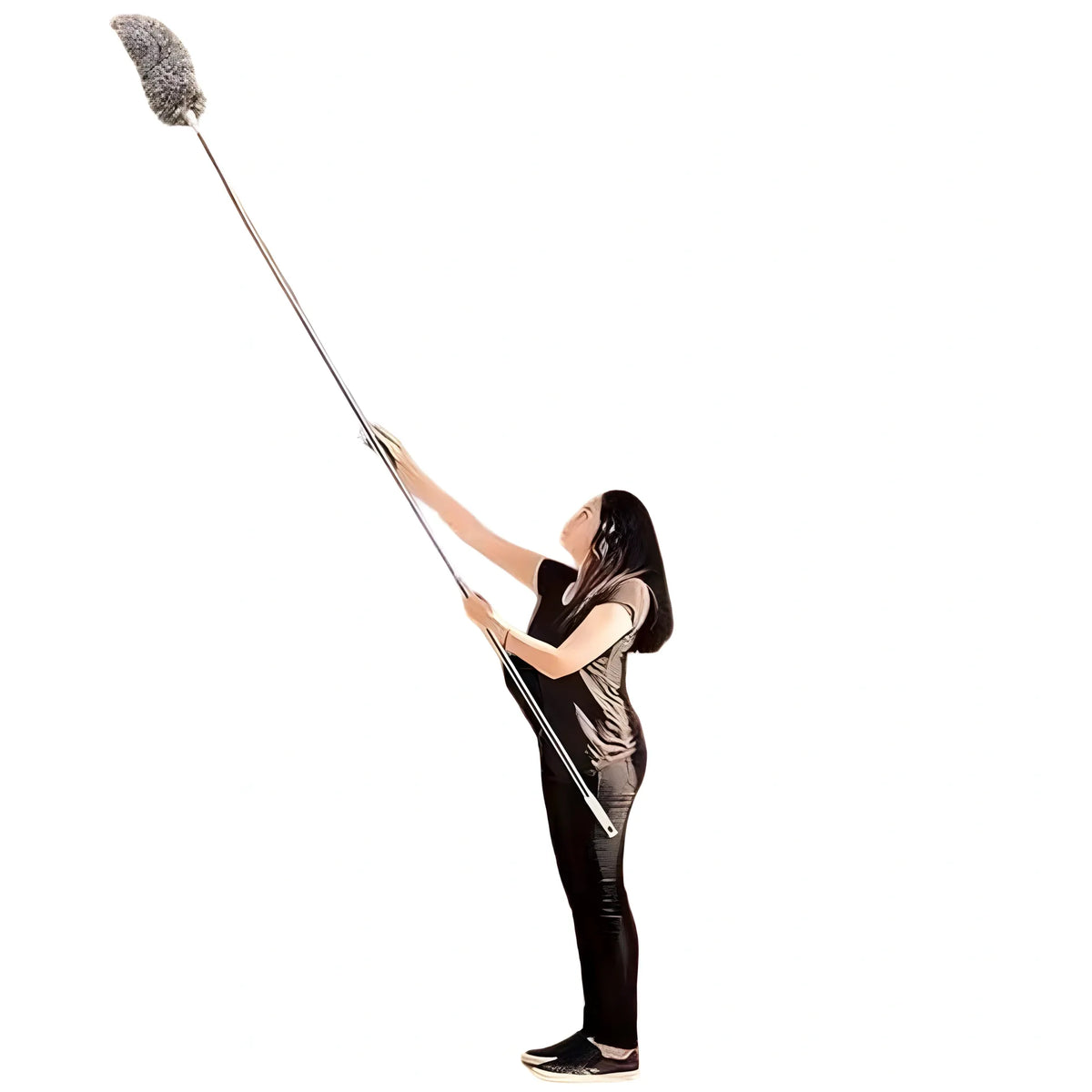 Fan Duster (Grey)
